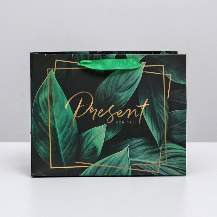 Пакет ламинированный горизонтальный Present for you, S 15 × 12 × 5,5 см