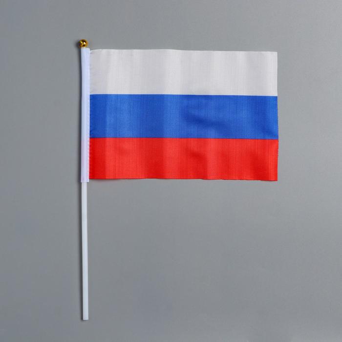 Флаг России 14*20